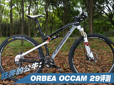 [b־]񱼵ĹţORBEA OCCAM 29 H10uy