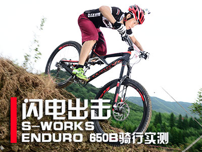 W늳-S-WORKS ENDURO 650BTЌy