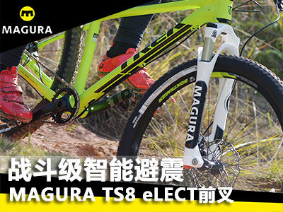 (zhn)(j)ܱ (gu)MAGURA TS8 eLECTǰ