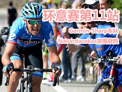 [D]h(hun)ِʮһվ NavardauskasͻZ Wiggins(D)