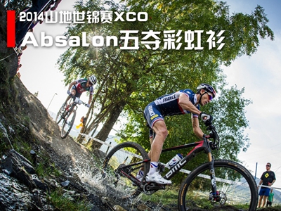 2014ɽ\ِXCO֮(zhn)AbsalonZʺ